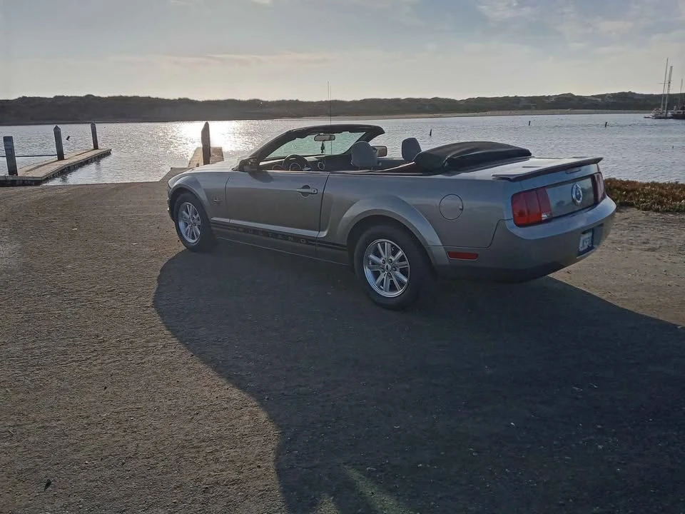 2009 Ford S197 Mustang - Image 16 of 19