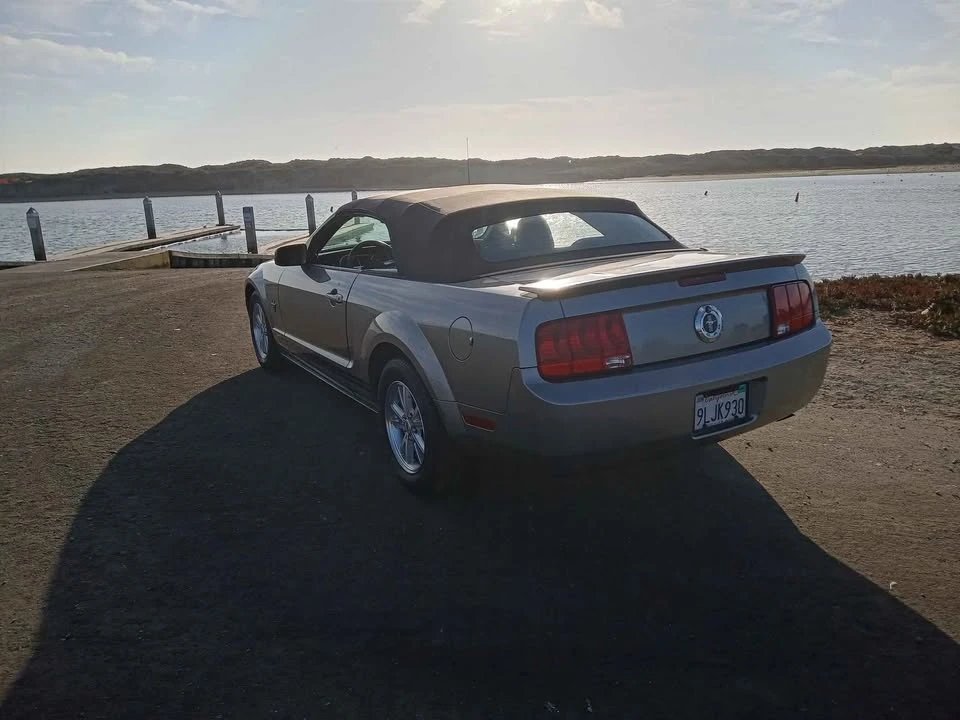 2009 Ford S197 Mustang - Image 12 of 14