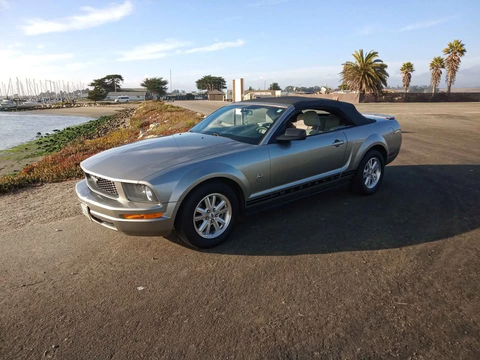 2009 Ford S197 Mustang - Image 8 of 14