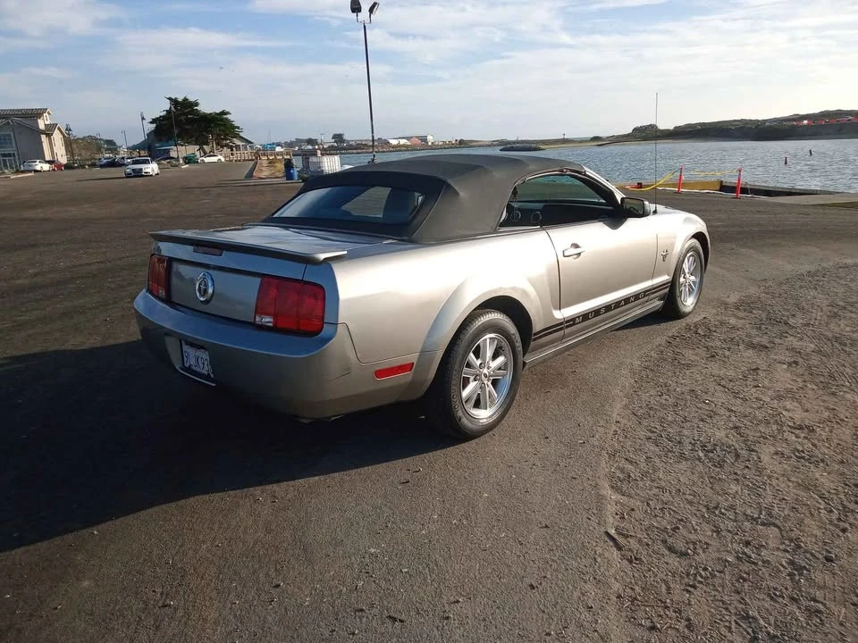 2009 Ford S197 Mustang - Image 6 of 19