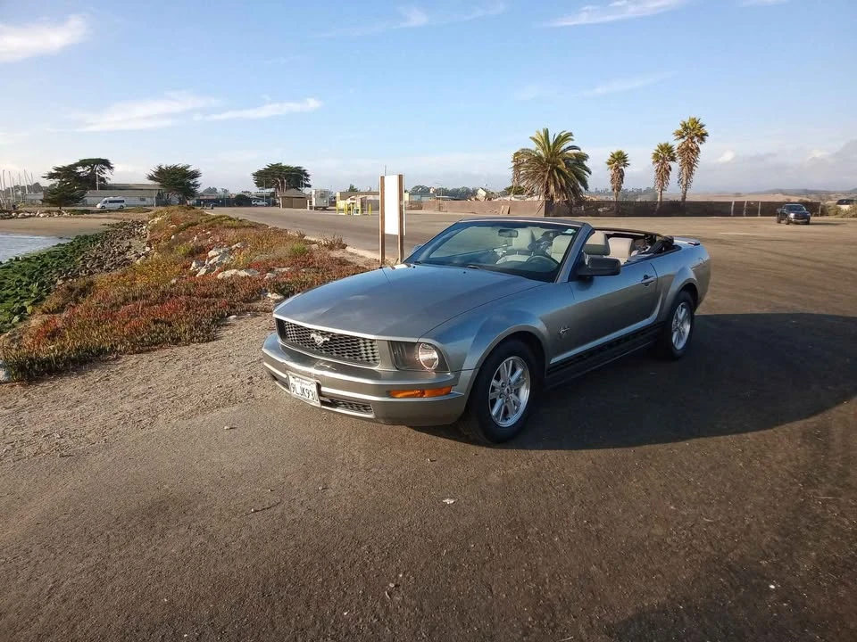 2009 Ford S197 Mustang - Image 19 of 19