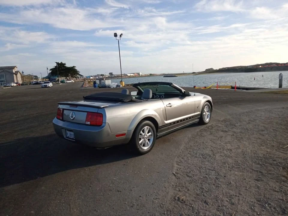 2009 Ford S197 Mustang - Image 6 of 14