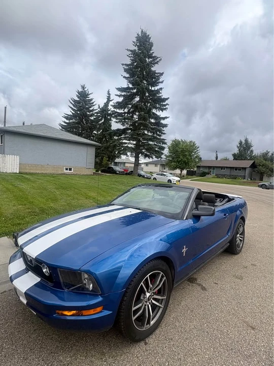 2009 Ford S197 Mustang - Image 5 of 7