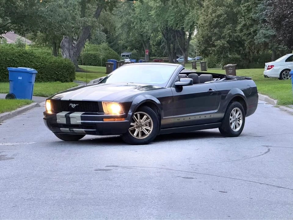 2009 Ford S197 Mustang - Image 4 of 20