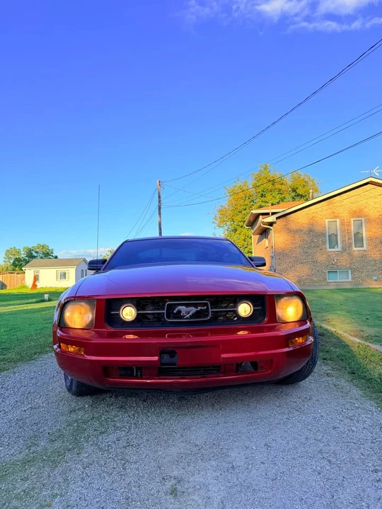 2009 Ford S197 Mustang - Image 3 of 13
