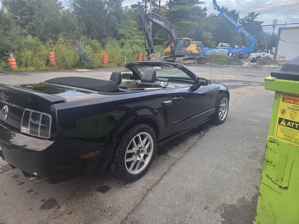 2009 Ford S197 Mustang - Image 9 of 9