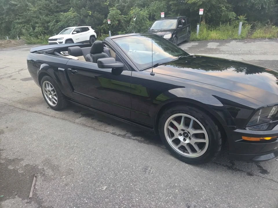 2009 Ford S197 Mustang - Image 4 of 9