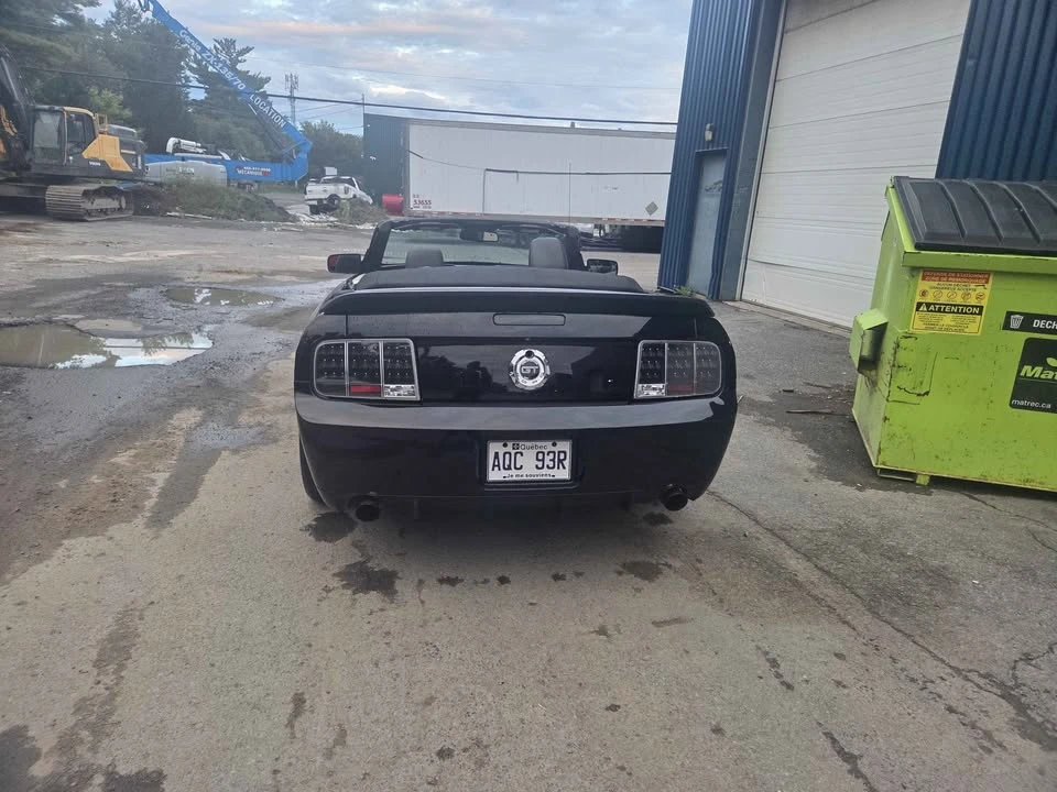 2009 Ford S197 Mustang - Image 8 of 9