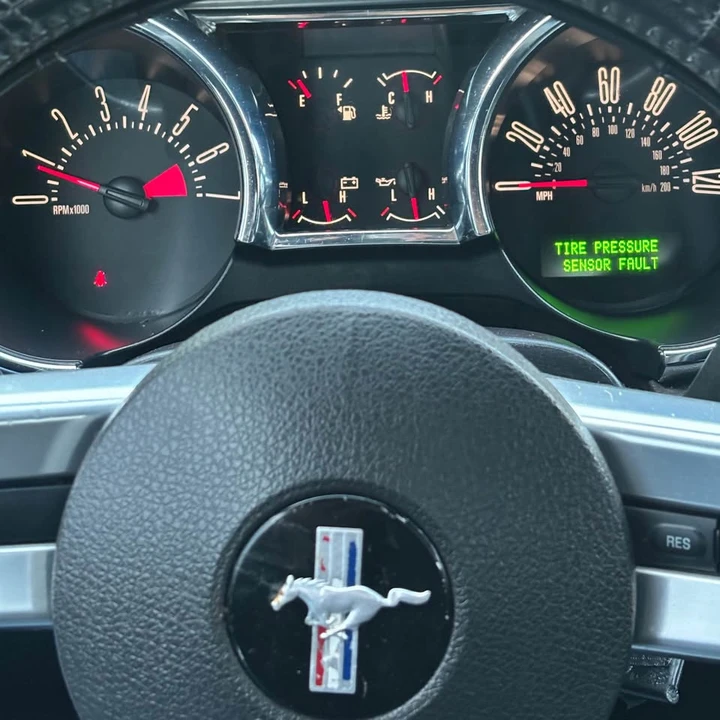 2009 Ford S197 Mustang - Image 15 of 15
