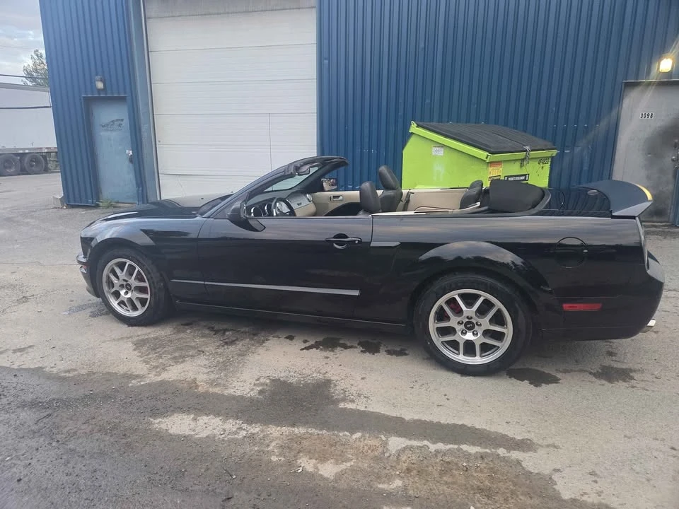 2009 Ford S197 Mustang - Image 7 of 9