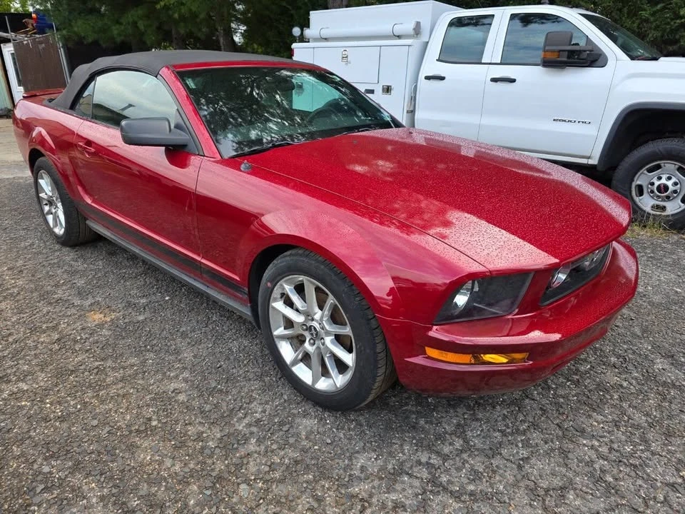 2009 Ford S197 Mustang - Image 4 of 9