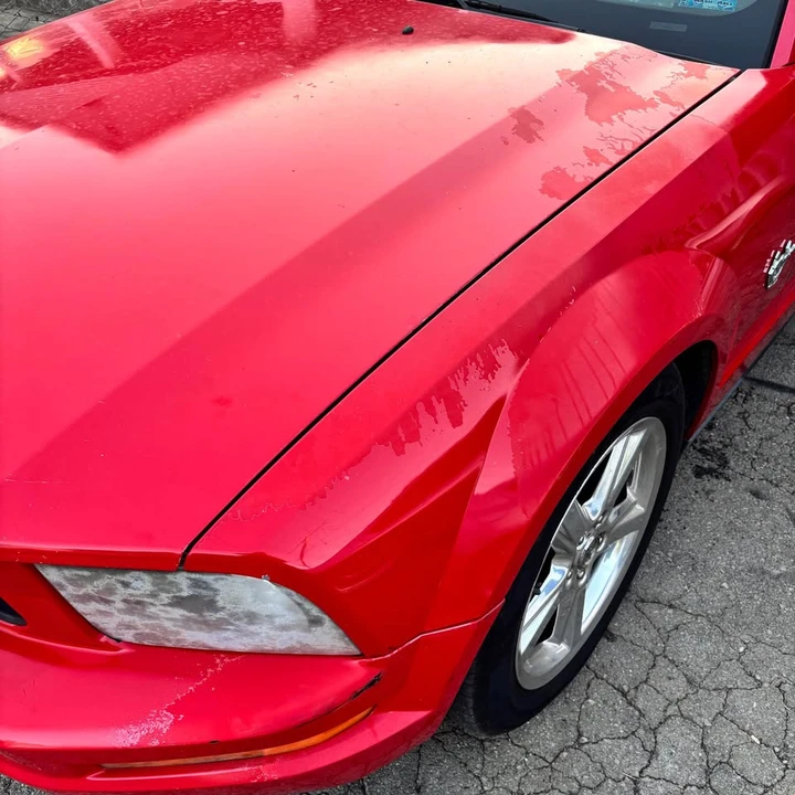 2009 Ford S197 Mustang - Image 2 of 15