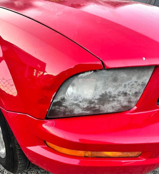 2009 Ford S197 Mustang - Image 7 of 15