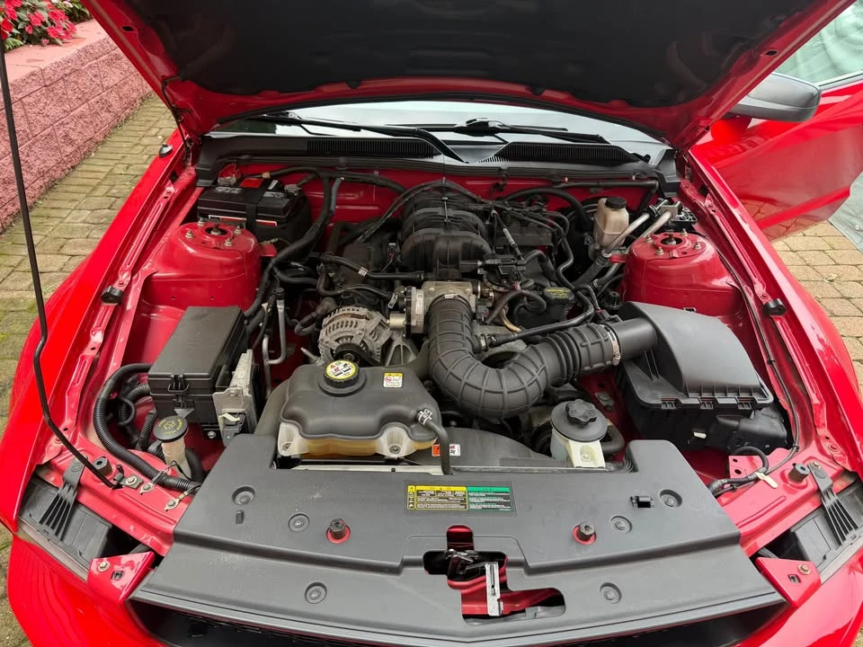 2009 Ford S197 Mustang - Image 7 of 8