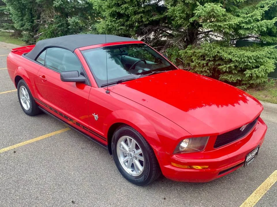 2009 Ford S197 Mustang - Image 8 of 19