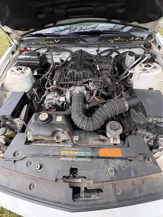 2009 Ford S197 Mustang - Image 7 of 7