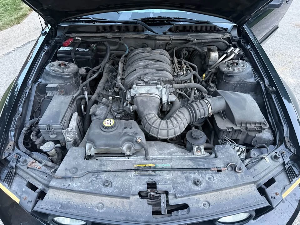 2009 Ford S197 Mustang - Image 10 of 16