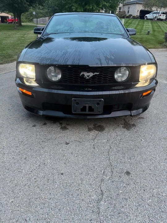 2009 Ford S197 Mustang - Image 2 of 16