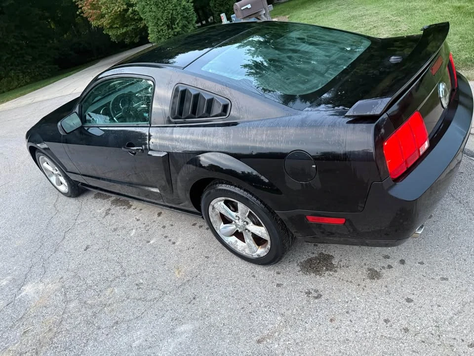 2009 Ford S197 Mustang - Image 6 of 16