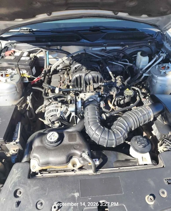 2009 Ford S197 Mustang - Image 8 of 11