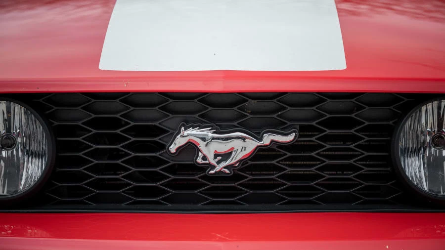 2009 Ford S197 Mustang - Image 19 of 22