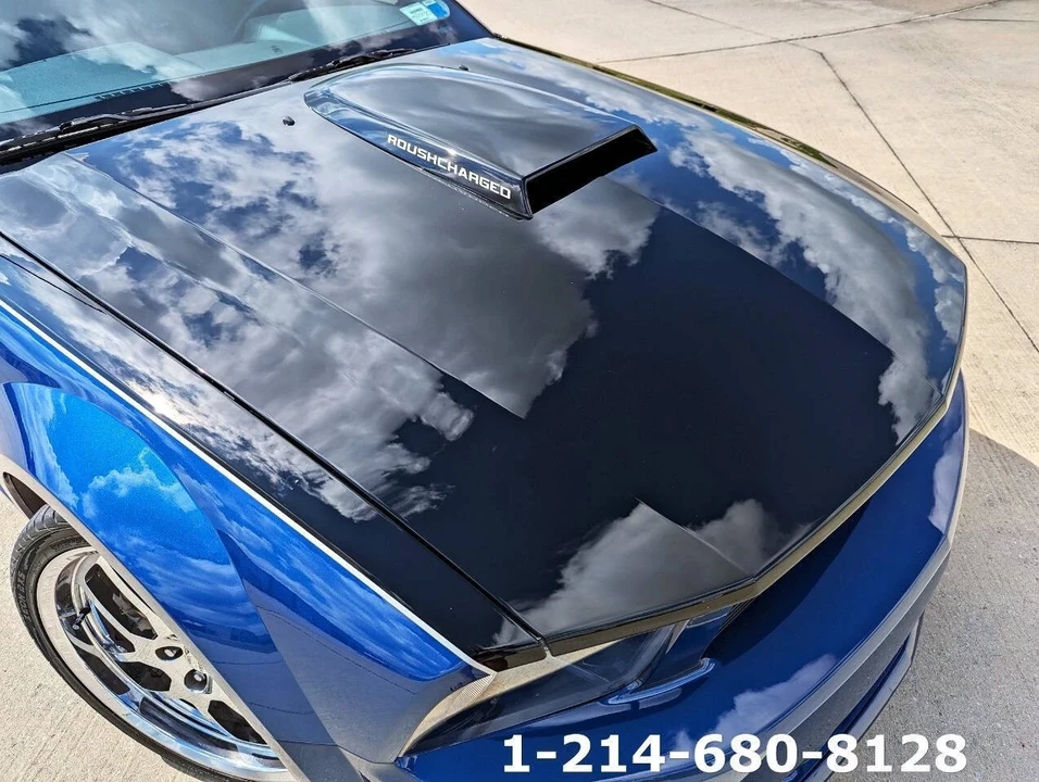 2009 Ford S197 Mustang - Image 14 of 21
