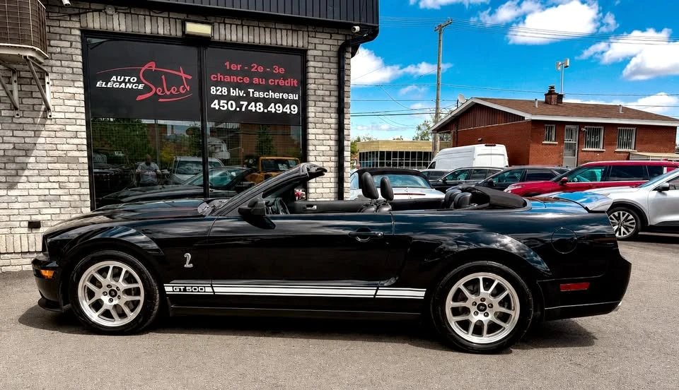 2009 Ford S197 Mustang - Image 16 of 20