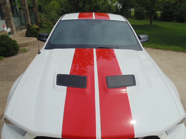 2009 Ford S197 Mustang - Image 13 of 24