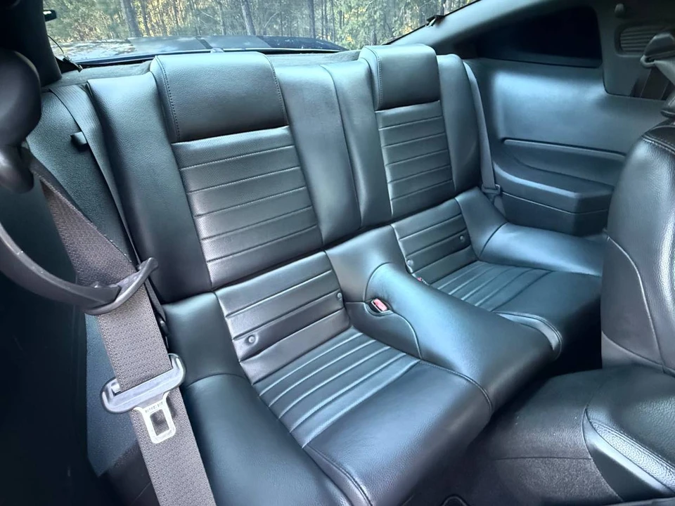 2009 Ford S197 Mustang - Image 14 of 22