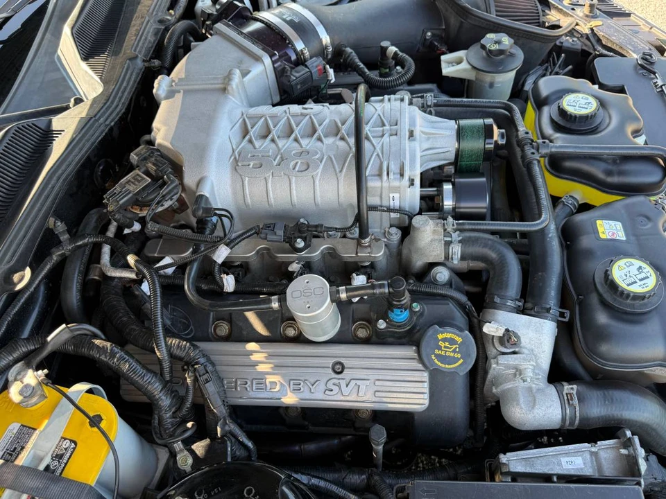2009 Ford S197 Mustang - Image 22 of 22