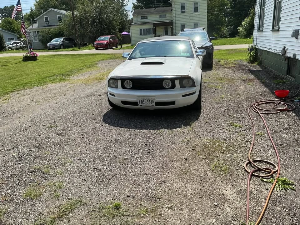 2009 Ford S197 Mustang - Image 2 of 3