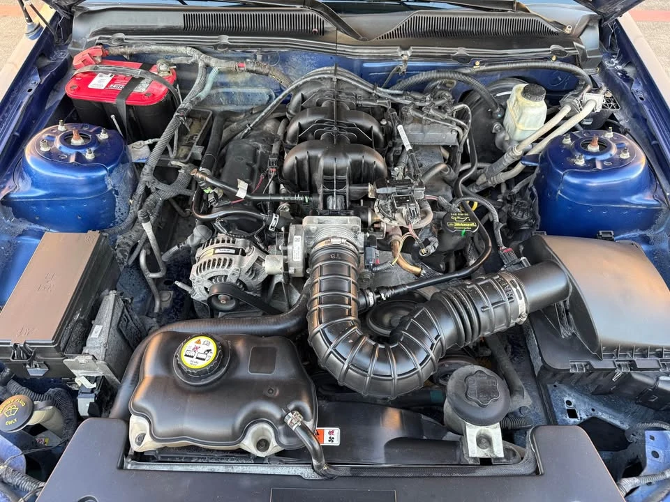 2009 Ford S197 Mustang - Image 15 of 15