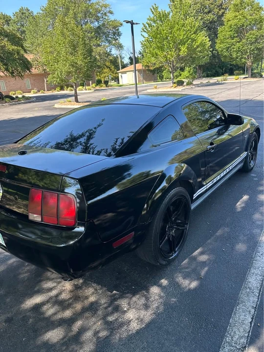 2009 Ford S197 Mustang - Image 13 of 14