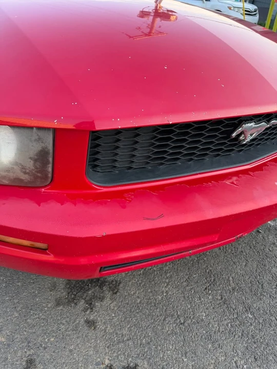2009 Ford S197 Mustang - Image 12 of 13