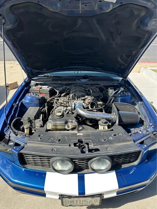 2009 Ford S197 Mustang - Image 16 of 16