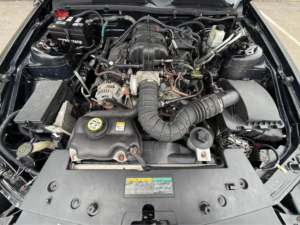 2009 Ford S197 Mustang - Image 9 of 13