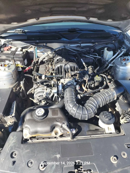 2009 Ford S197 Mustang - Image 14 of 18