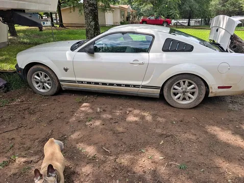 2009 Ford Mustang V6 Premium Coupe 2D