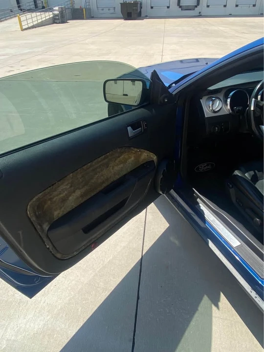 2009 Ford S197 Mustang - Image 7 of 11