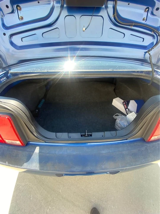 2009 Ford S197 Mustang - Image 11 of 11