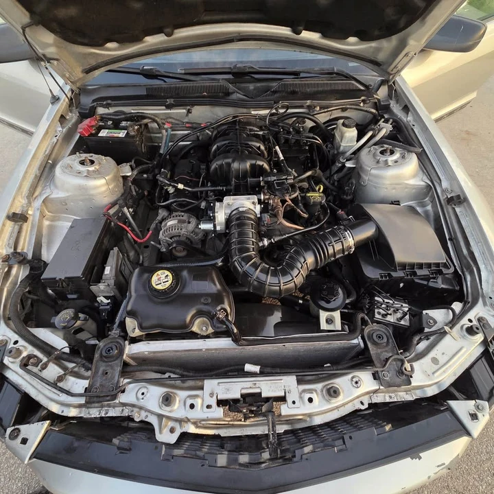 2009 Ford S197 Mustang - Image 12 of 13