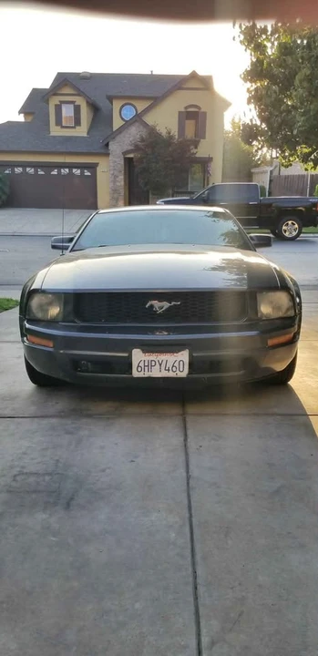 2009 Ford S197 Mustang - Image 2 of 15
