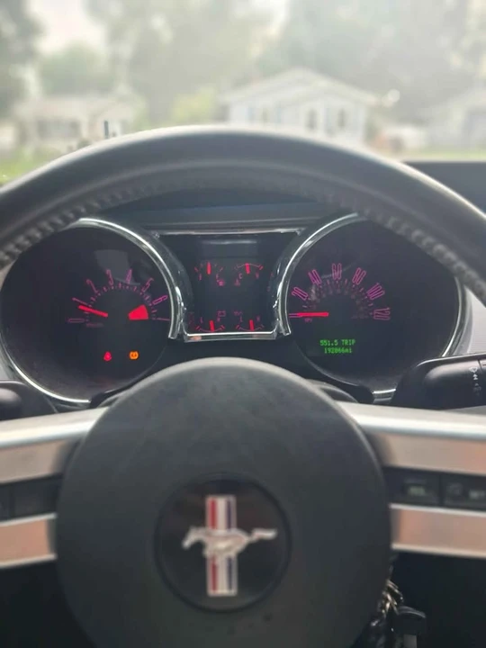 2009 Ford S197 Mustang - Image 14 of 15