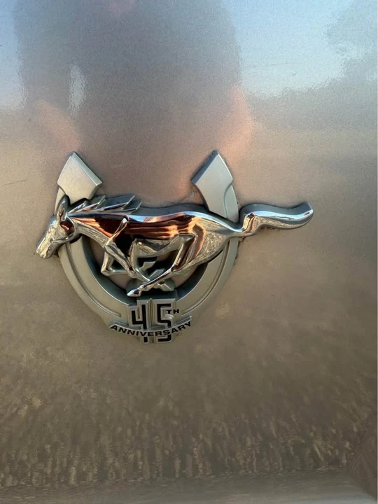 2009 Ford S197 Mustang - Image 13 of 15