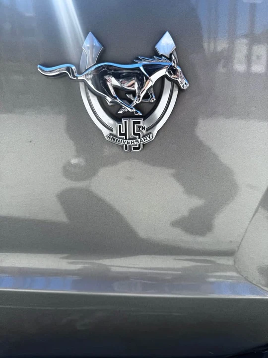 2009 Ford S197 Mustang - Image 11 of 11