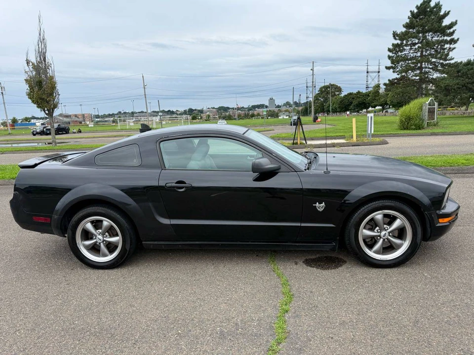 2009 Ford S197 Mustang - Image 24 of 24