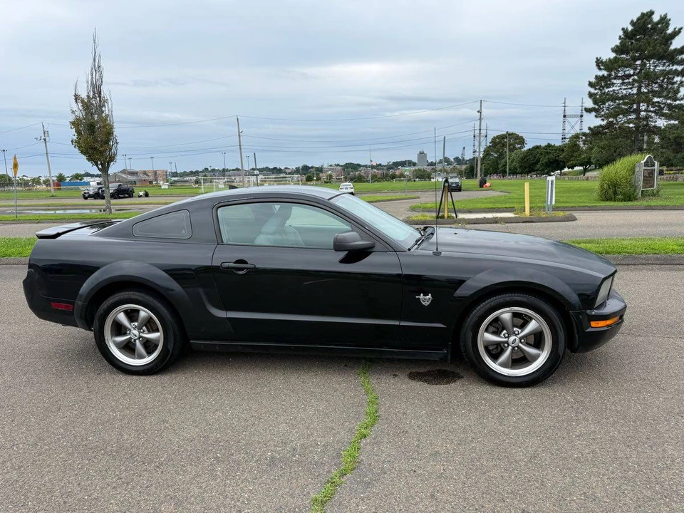 2009 Ford S197 Mustang - Image 16 of 24