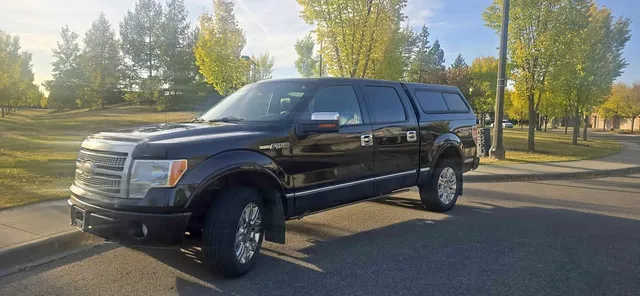 2009 Ford F-150 Platinum