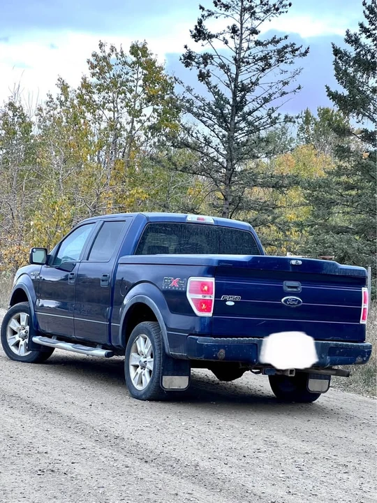 2009 Ford F-150 12th Gen - Image 6 of 11