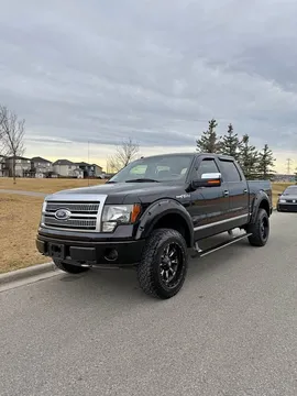 2009 Ford F-150 Platinum